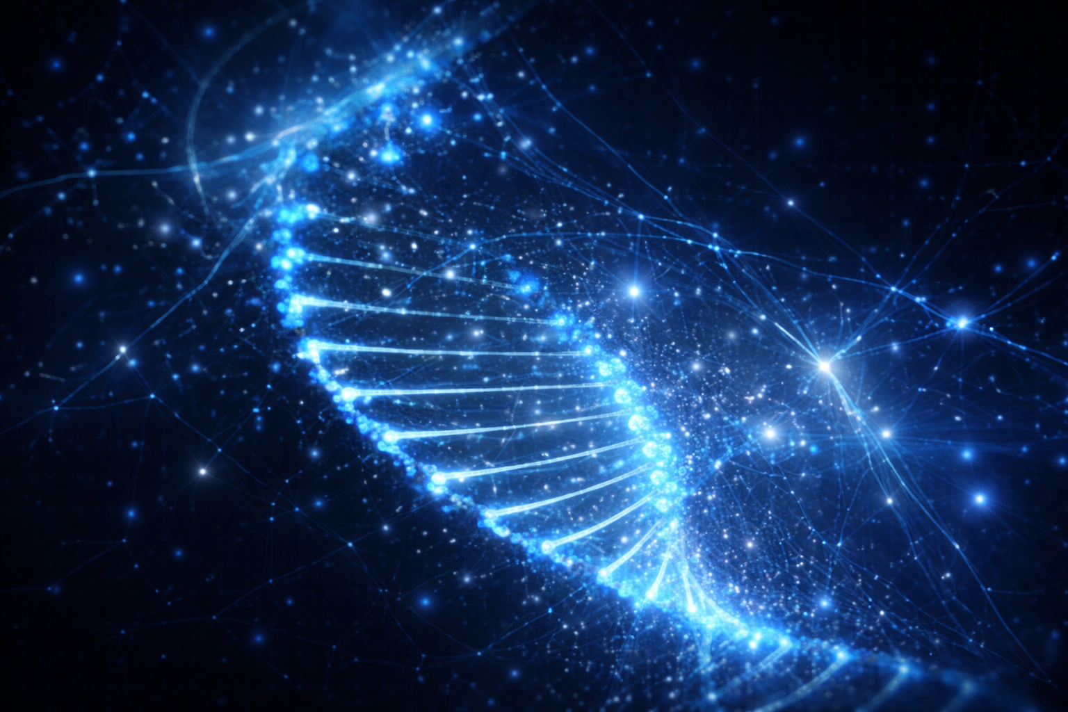 Comprehensive multi-domain experience